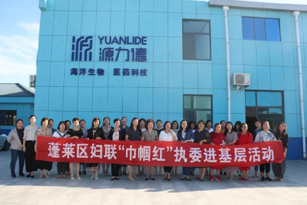 原来你是会跳舞的海参啊！——蓬莱